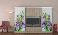 Dulap Universal Print L2.4M L 2400 x H 2200 x A 450