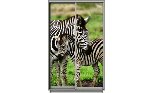 Dulap Print 2 Usi 266, L100 x H220 x A60