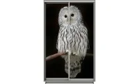 Dulap Print 2 Usi 597, L100 x H220 x A60
