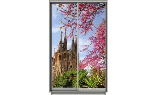 Dulap Print 2 Usi 2498, L100 x H220 x A60