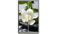 Dulap Print 2 Usi 3071, L100 x H220 x A60