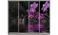 Dulap Print 4 Usi 1342, L280 x H240 x A60