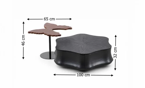 Set Măsuțe cafea CT6562 Nuc/Negru
