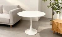 Masa Rotunda DT08 Alba 1