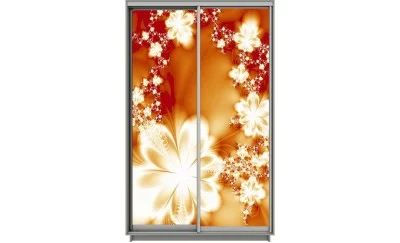 Dulap Print 2 Usi 1087 L100 x H220 x A60
