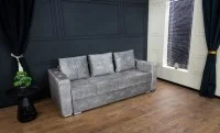 Canapea Extensibilă Vegas Bonell Mini, Gri deschis 3
