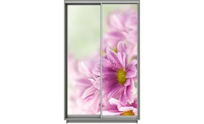 Dulap Print 2 Usi 1811, L100 x H220 x A60