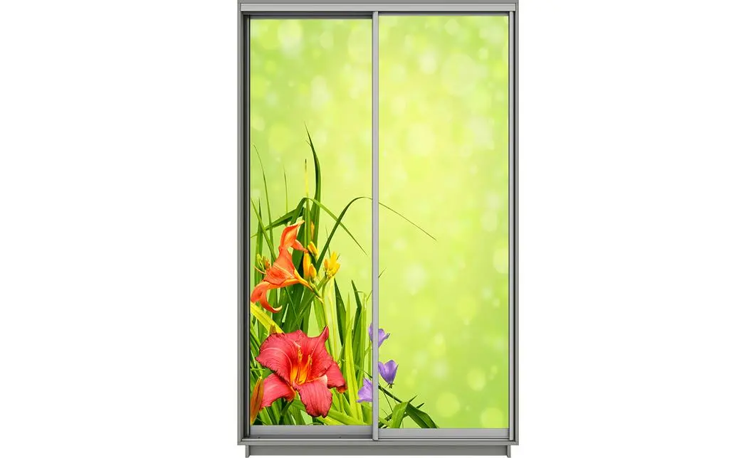 Dulap Print 2 Usi 2149, L100 x H220 x A60