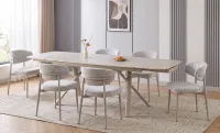 Set Masă Extensibilă DTM0415 CST cu 6 Scaune DCM0524 CF Gri